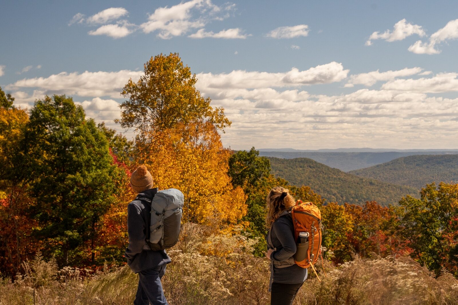Guests hiking a forest trail overlooking the valley in fall color at Sasquatch Farm RV Park
