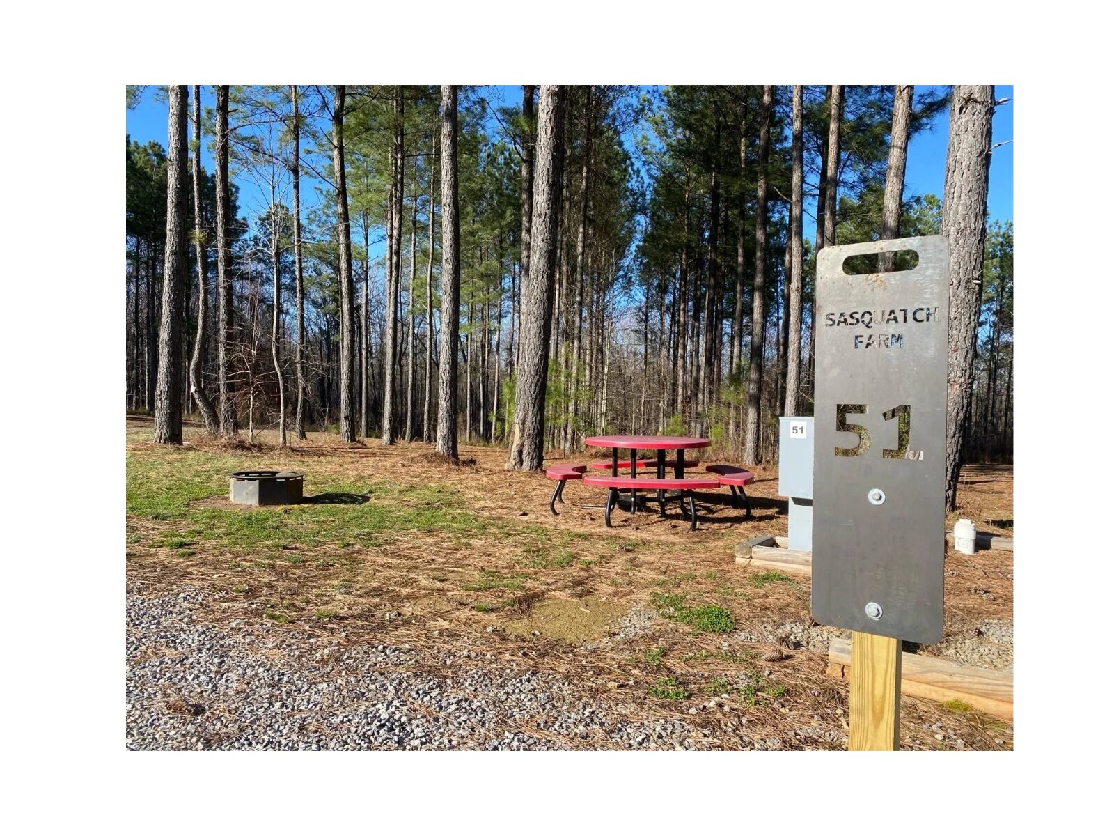 Full hookup pull-thru RV site shaded by trees at Sasquatch Farm RV Park